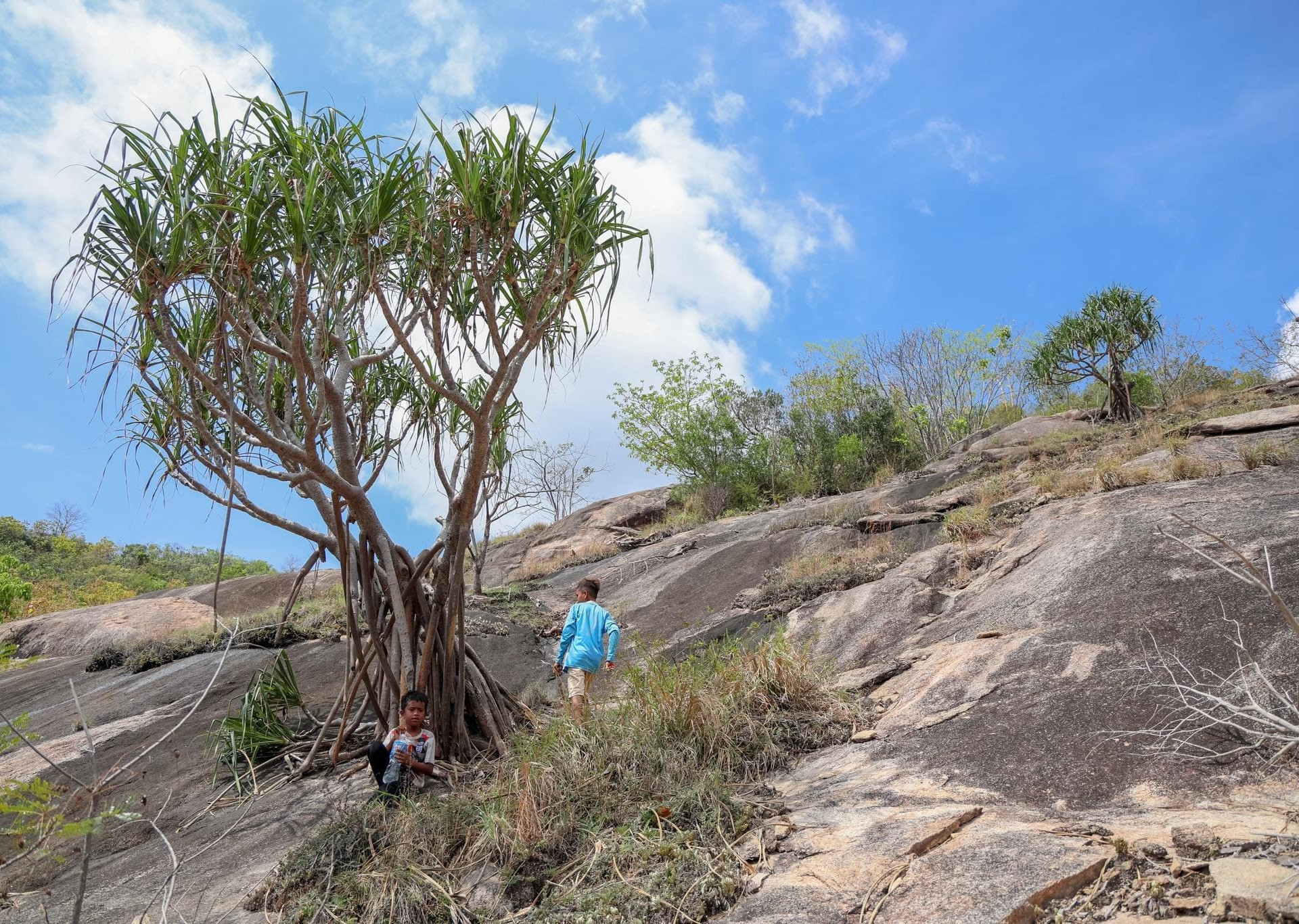 vietnam landscape4.jpg