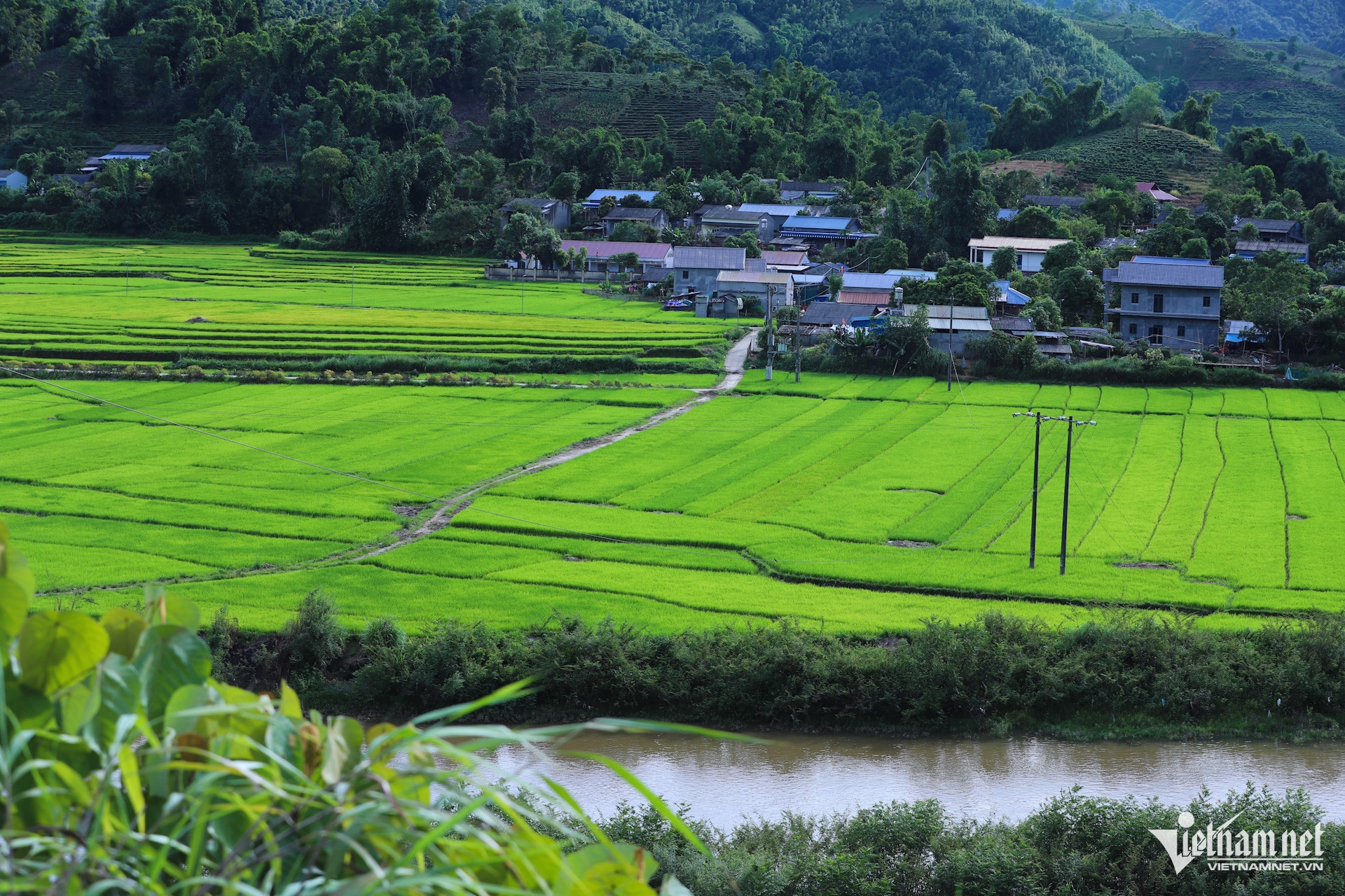 W-Dan toc thieu so va mien nui.jpg