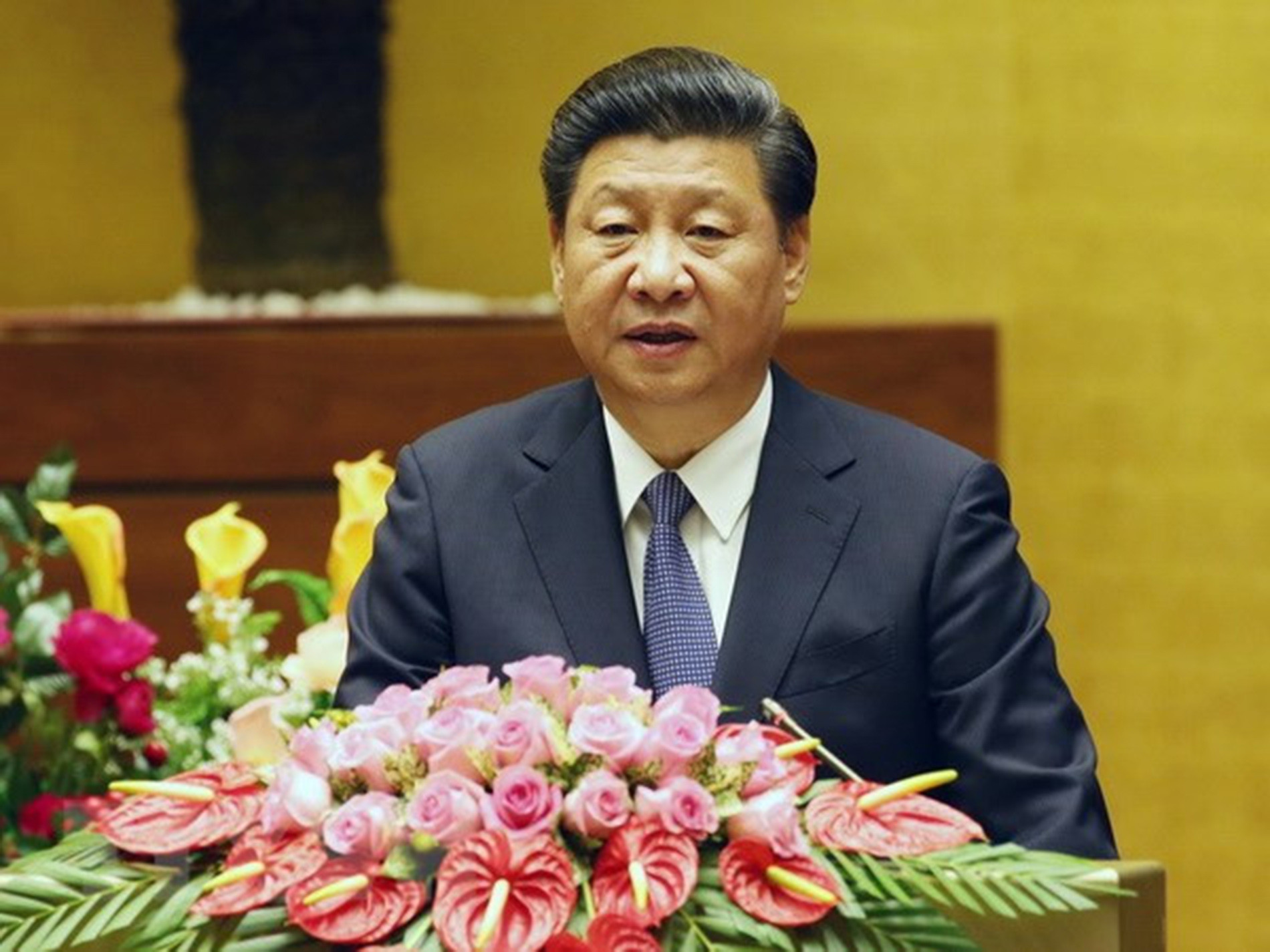 xi jinping6.jpg