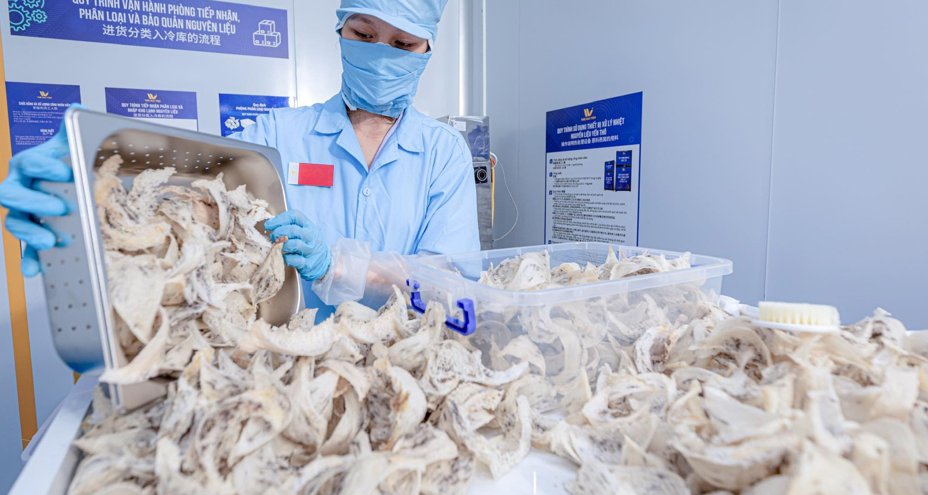 Vietnam expands official agricultural exports to China with four new products