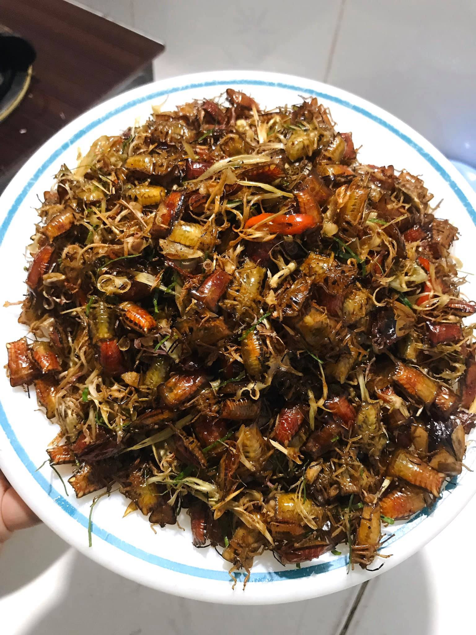 boxit Ha Dinh.jpg