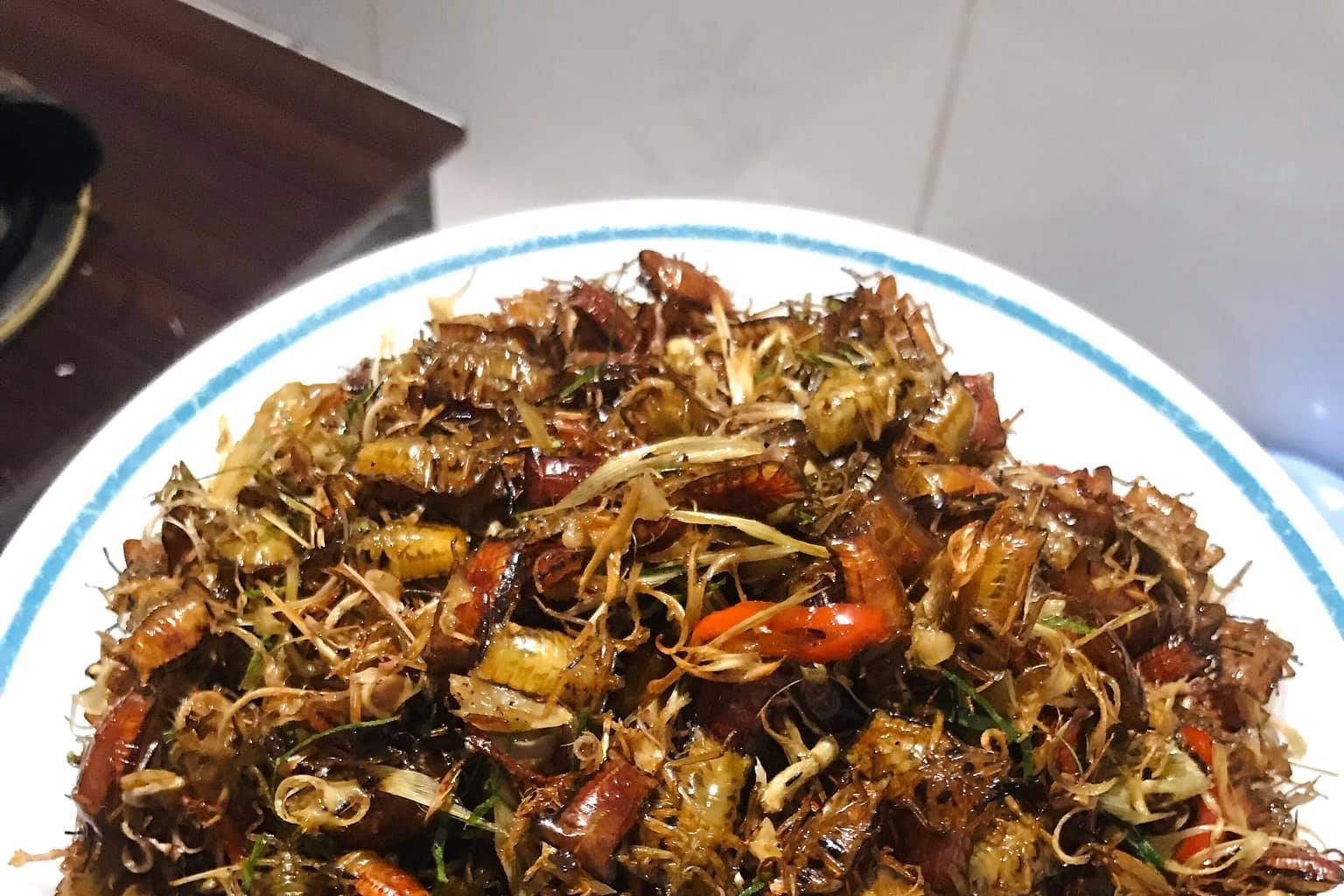 Northwest delicacy turns ‘creepy’ bugs tasty for some