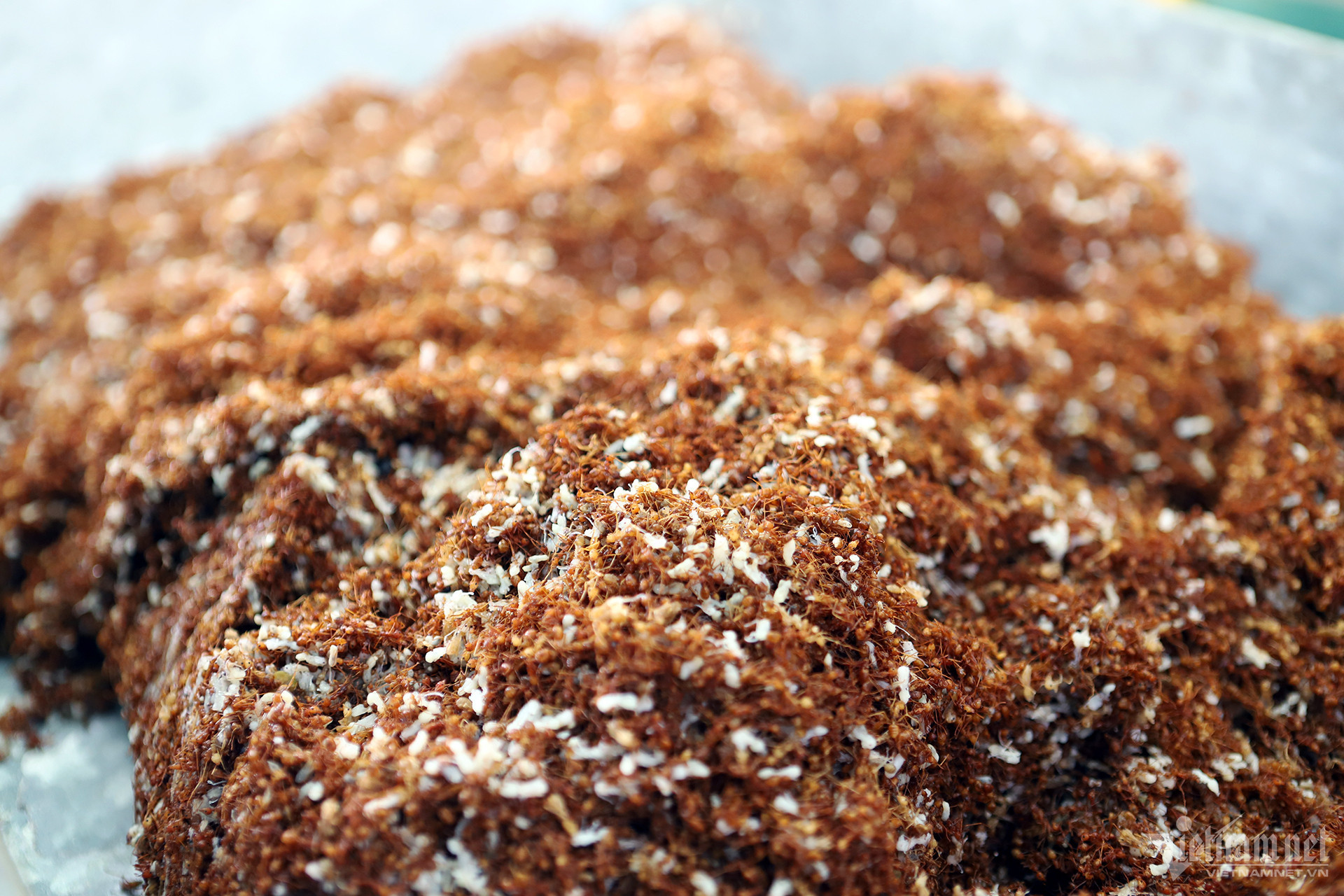 w bo mot nang xuan ngoc 17 1 1124.jpg