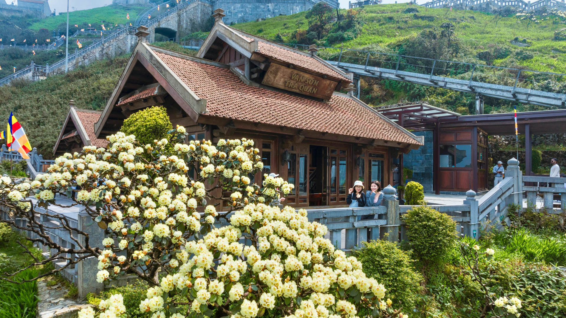 hoa do quyen 1507.jpg