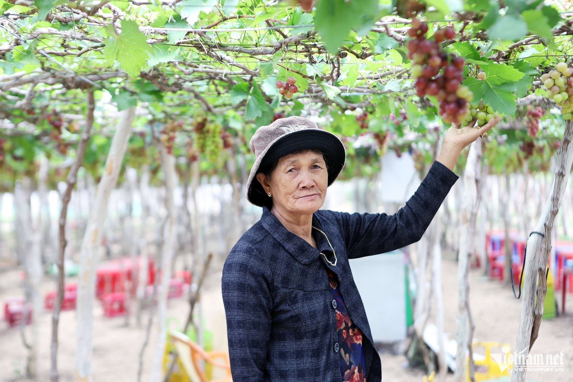 W-VNN Dienhatnhan IMG_8999.jpg