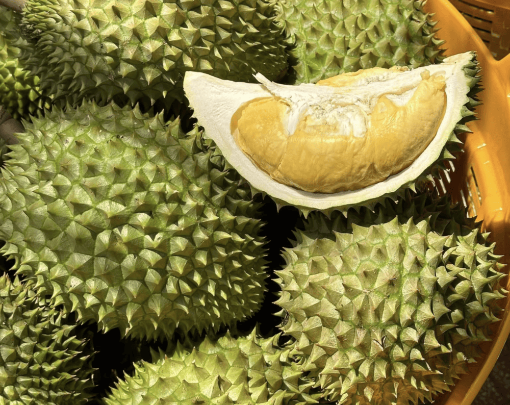 durian MK (1).png