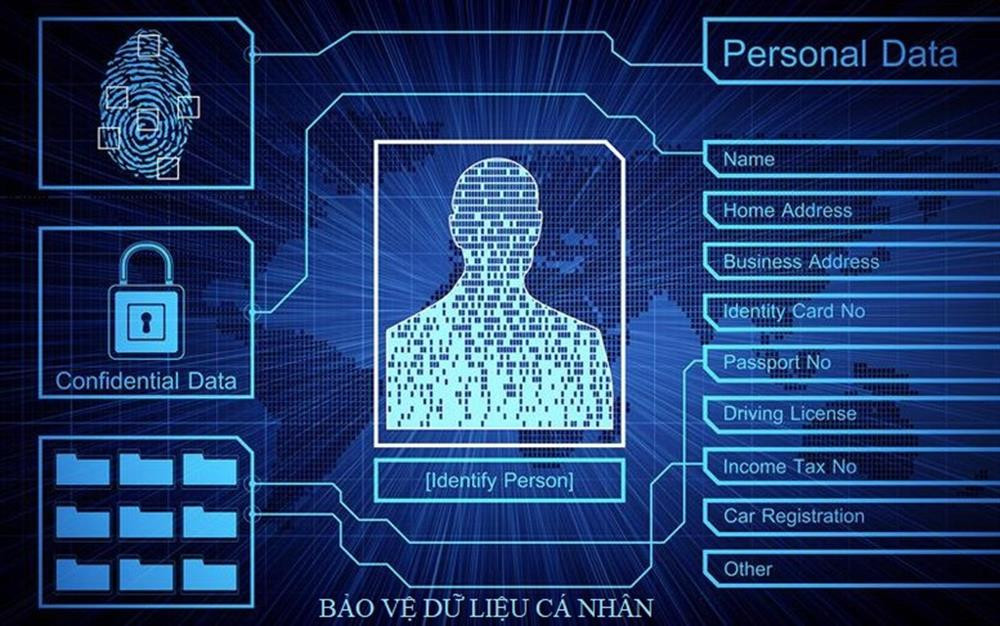 du lieu ca nhan 11.jpg