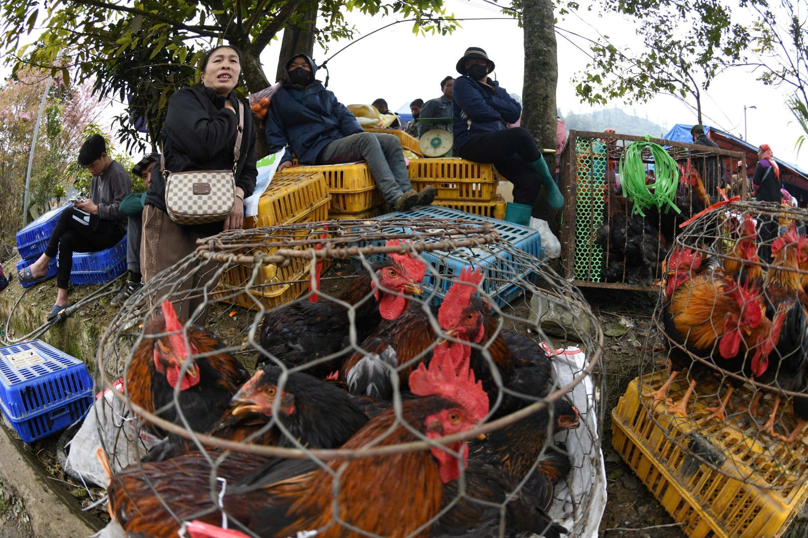 a10Đến phiên chợ Lùng Phình thưởng .jpg