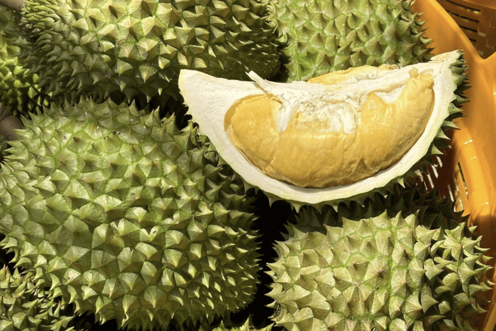 VN's durian exports to China overtaken by Thai products, face threat from Laos