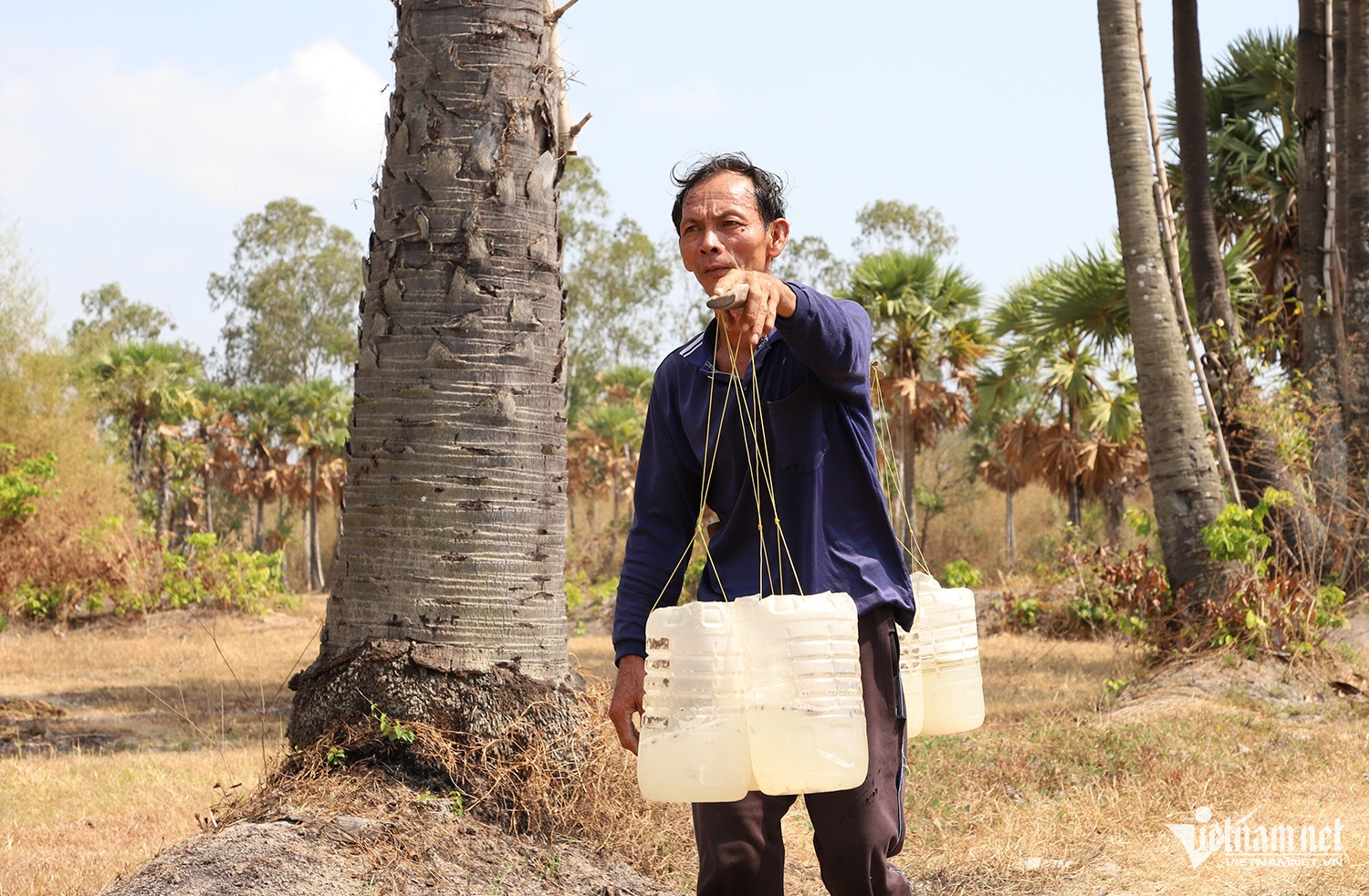 W-thốt nốt 2.JPG.jpg