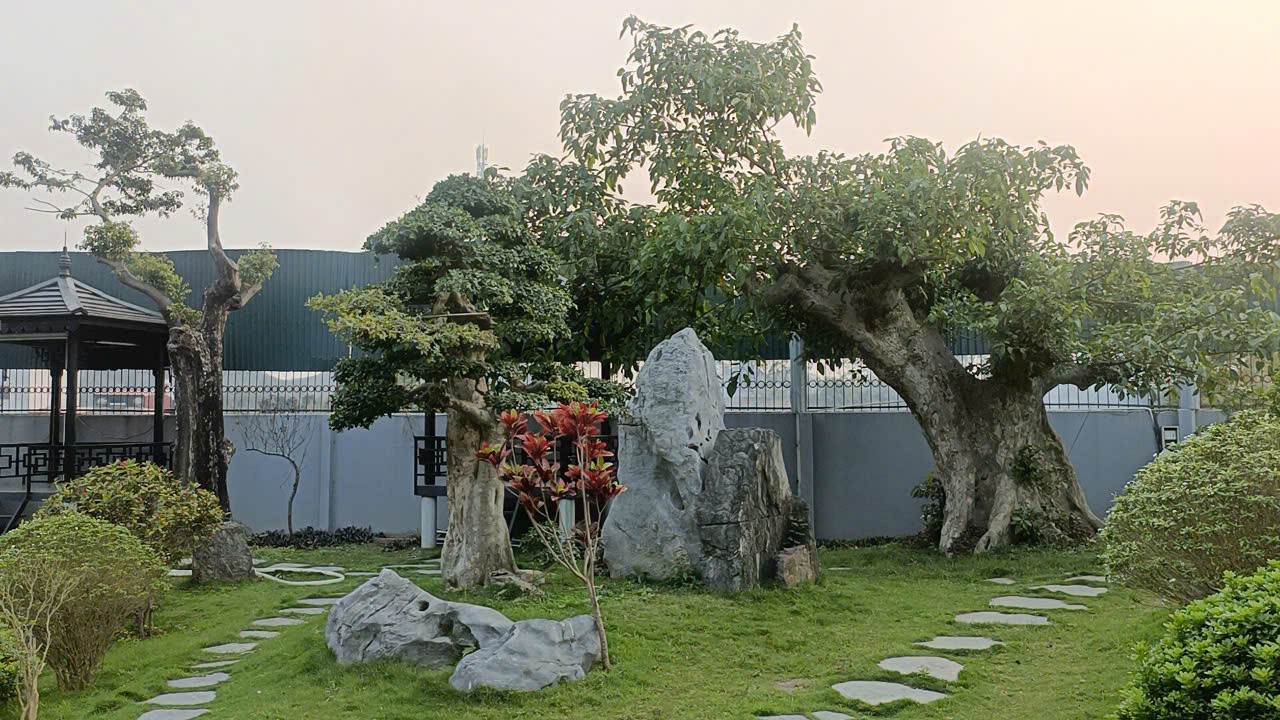 C c c g i ch c i l i trong khu n vi n c a c s kinh doanh Karaoke c a D ng Th Th o.jpg