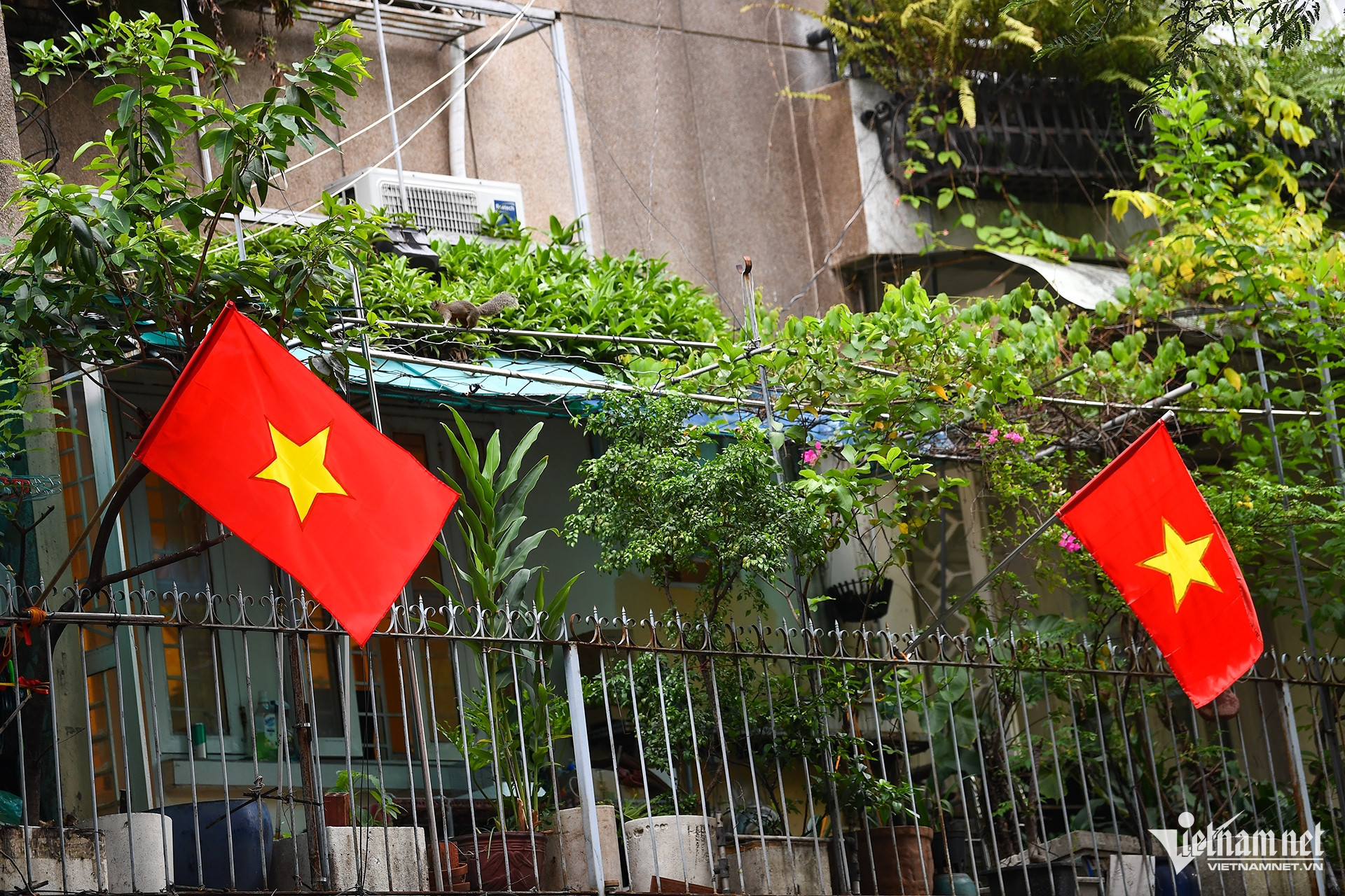 vietnam holiday7.jpg