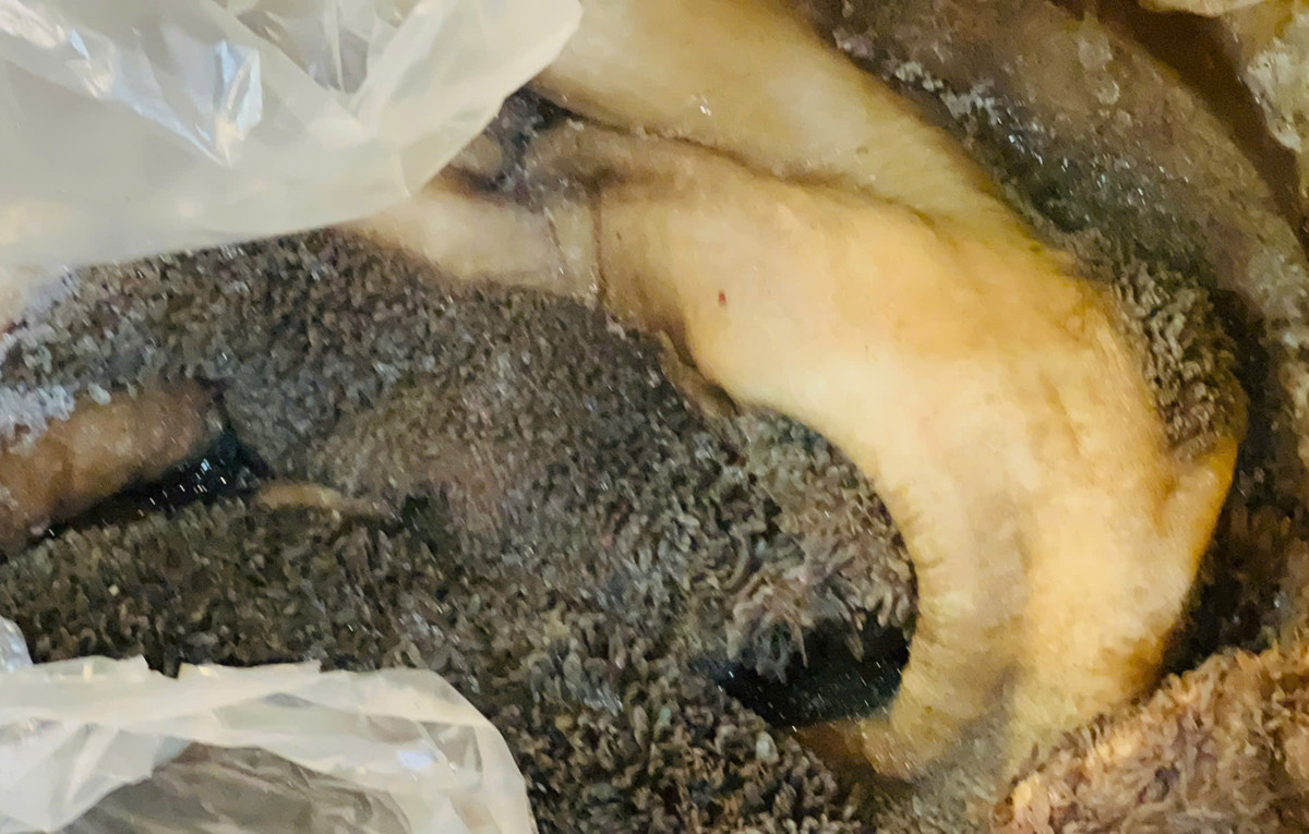 food safety hanoi.jpg3.jpg