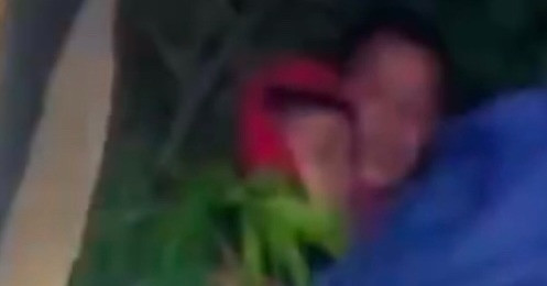 Police rescue 9-year-old boy found sleeping atop mango tree in Dak Lak
