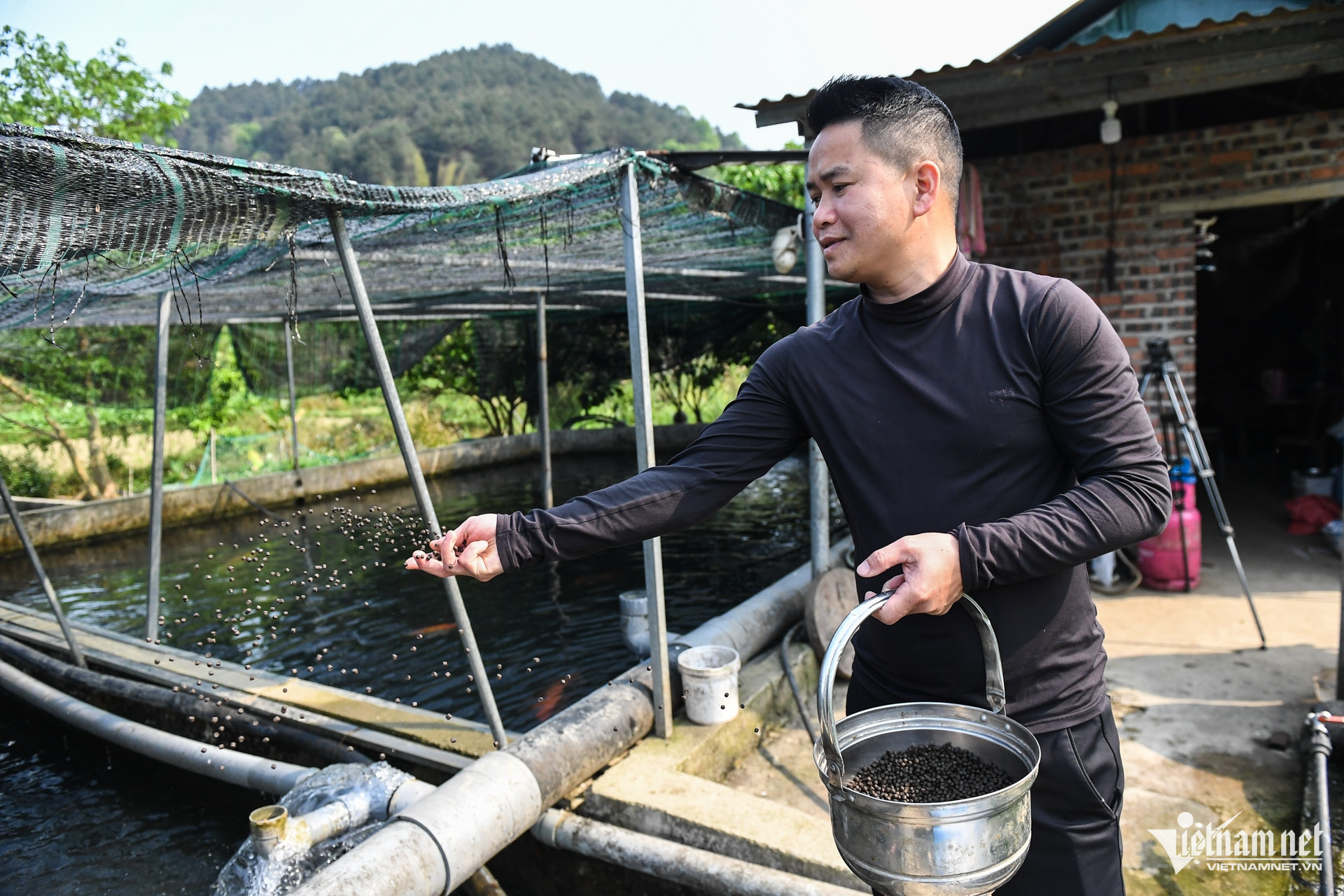 vietnam fish breeding5.jpg