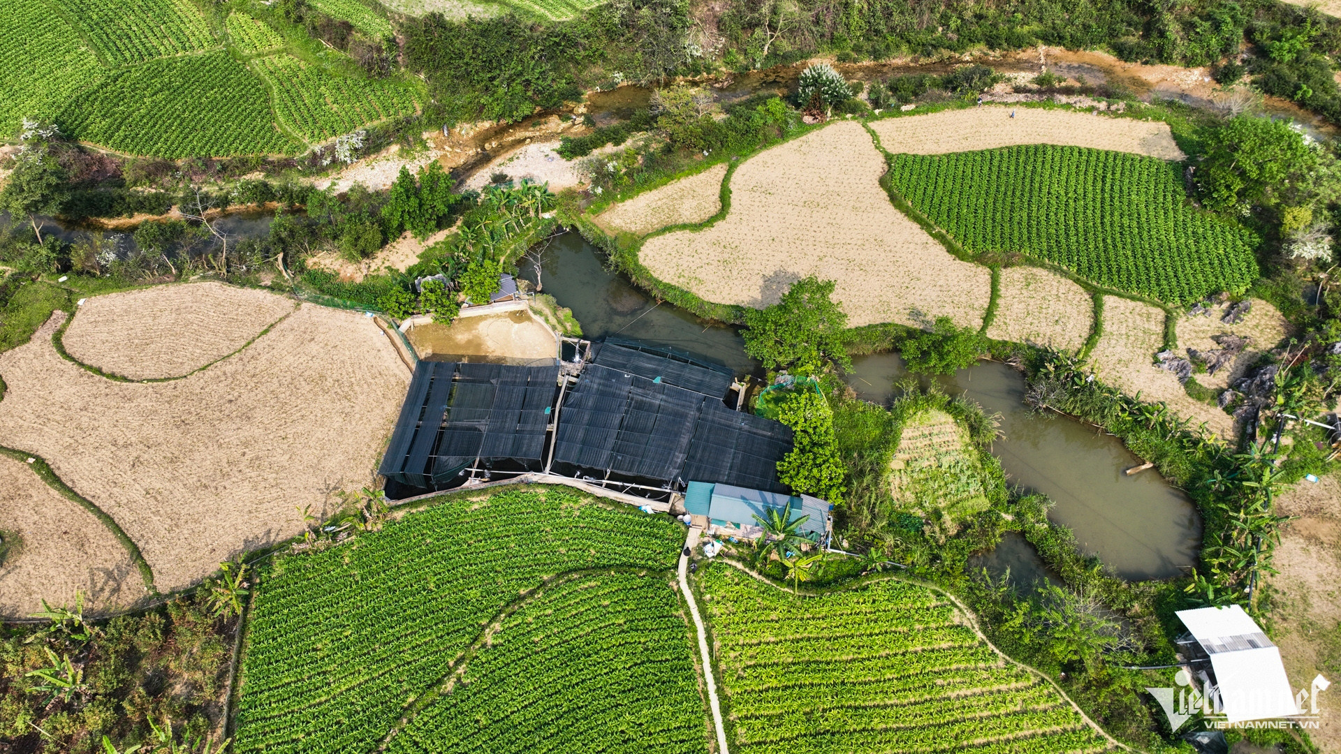 vietnam fish breeding9.jpg