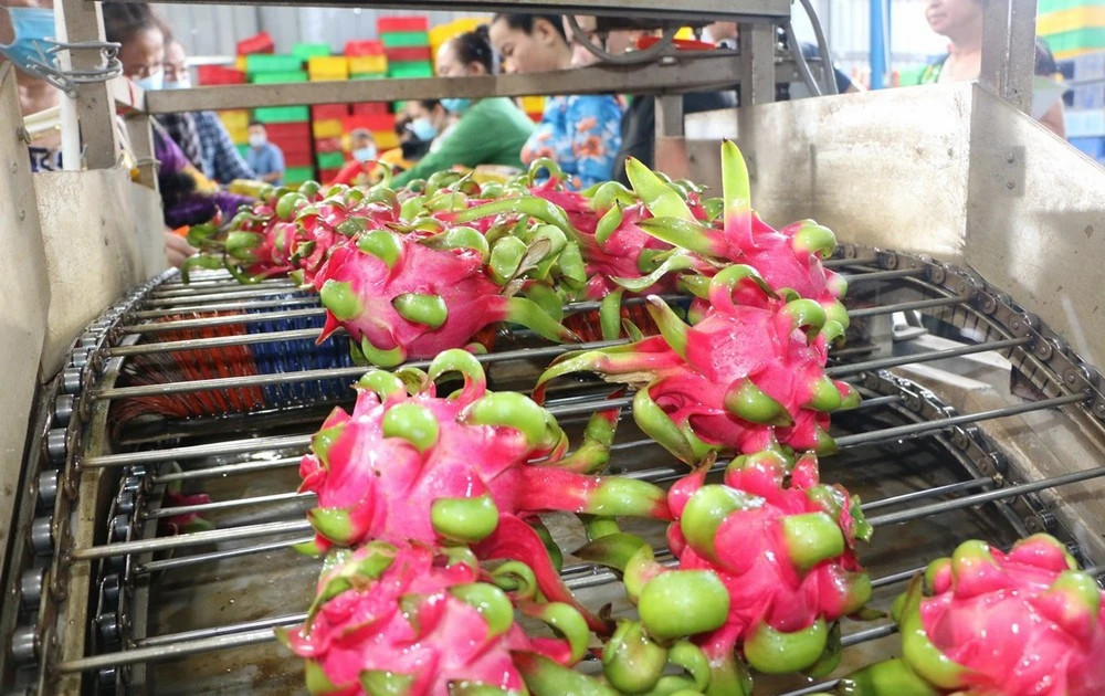 Overseas Vietnamese help Vietnamese products go global