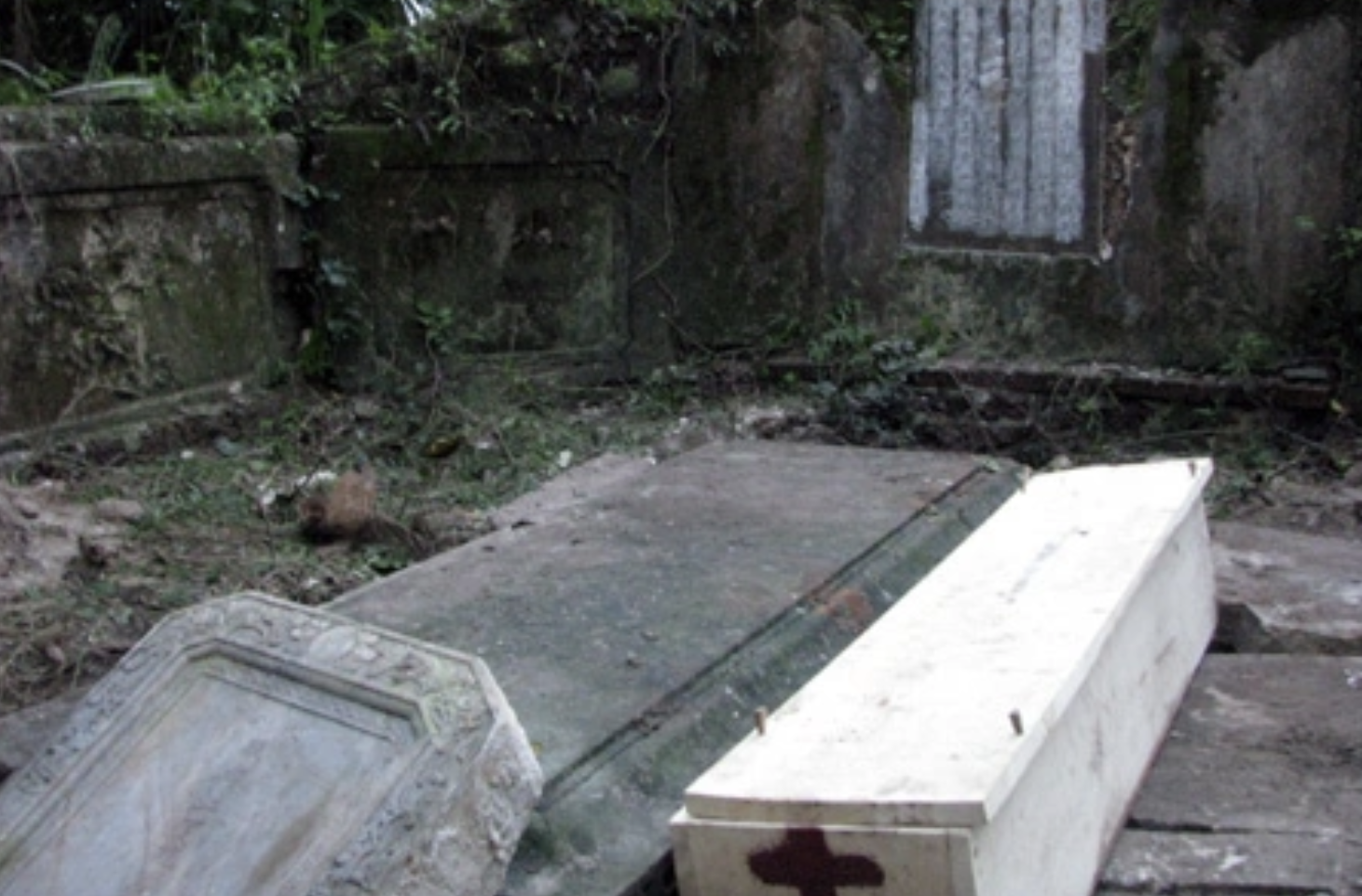 Ảnh màn hình 2025 05 08 lúc 21.41.34.png