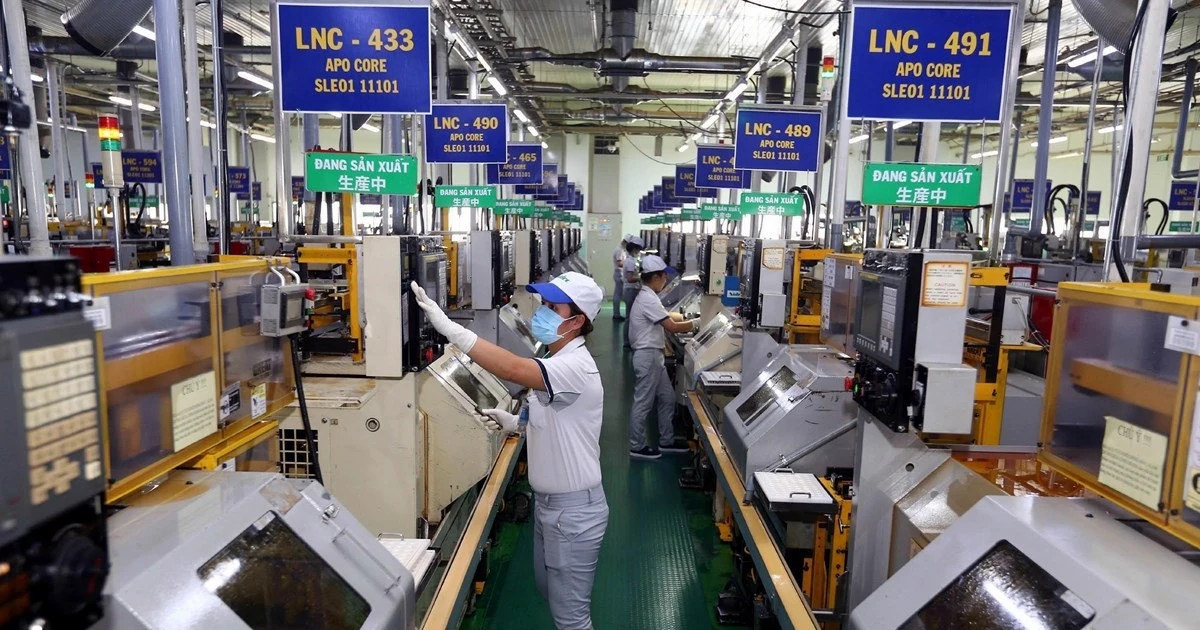 HCM City – “Fertile land” for “eagles” to soar