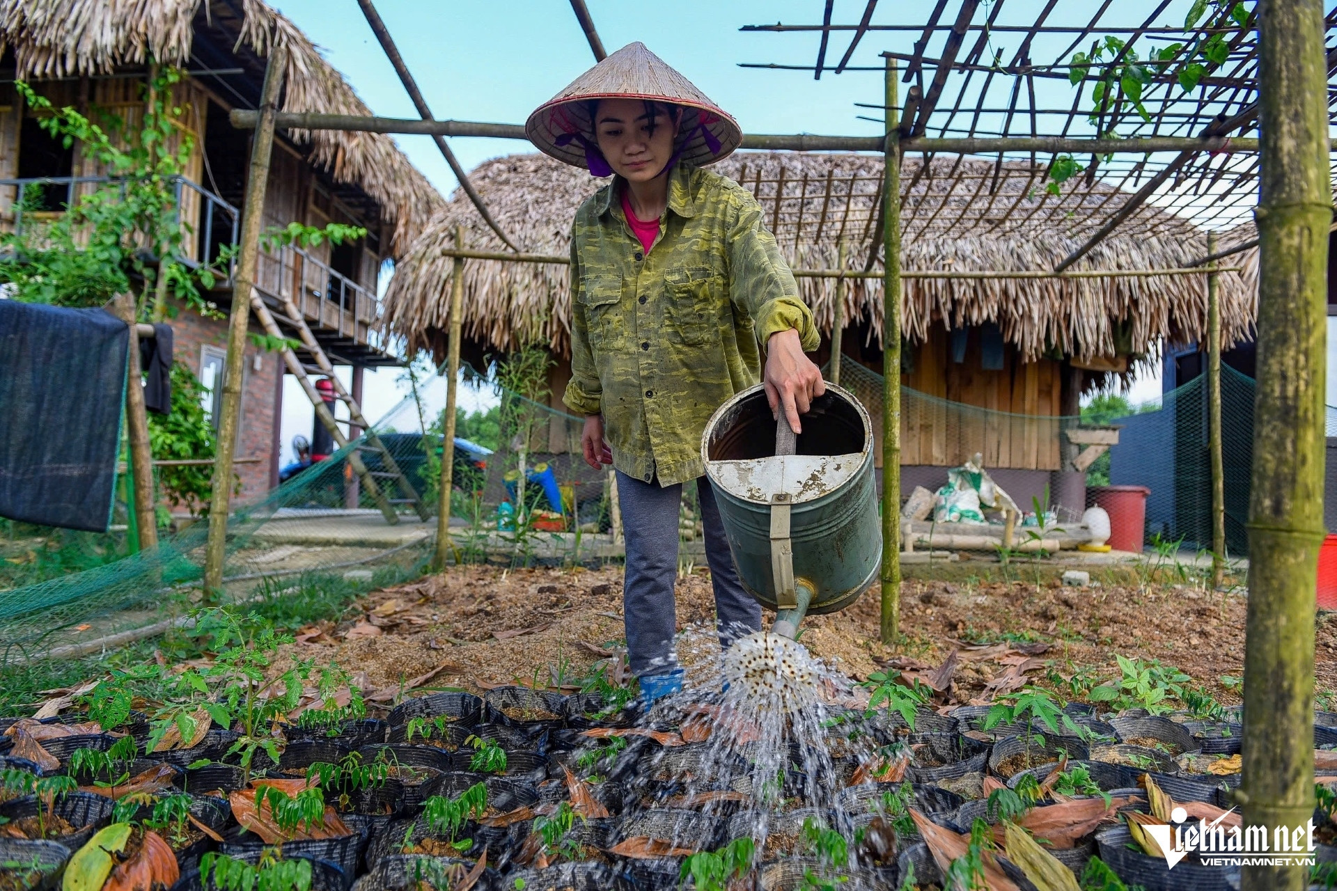 Ethnic Tho woman sets aside city job to revive barren forests in her hometown