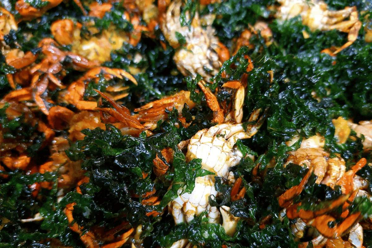 Northern Vietnam’s rare crab delicacy: rich, sweet, tastier than field crab