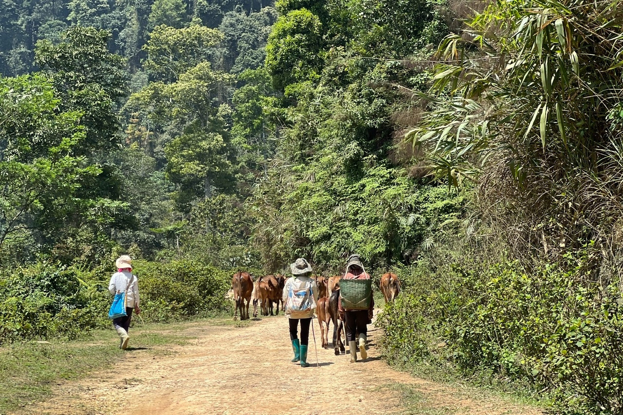 Protection teams walk tens of kilometers daily to protect forests