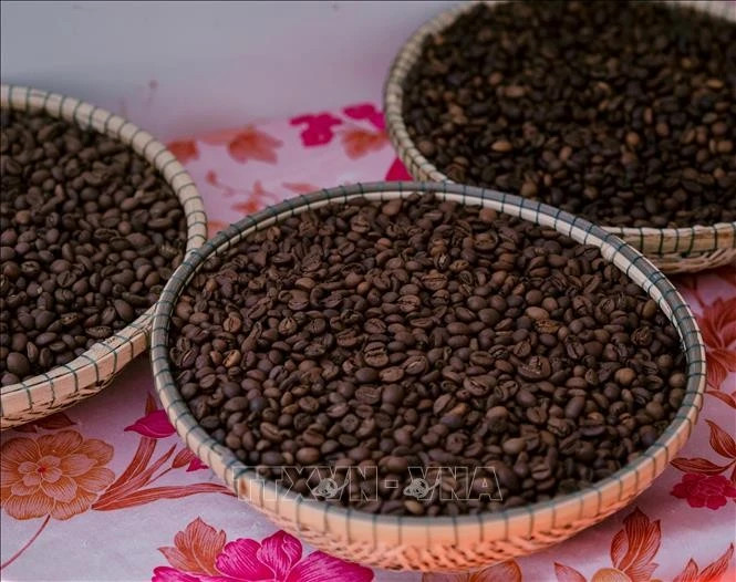 Quality, branding, sustainability essential for VN coffee to go global: Insiders