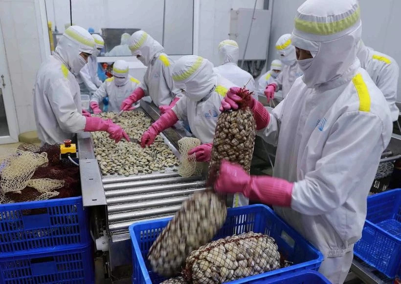 Vietnam’s mollusc exports to China soar in Q1 2025