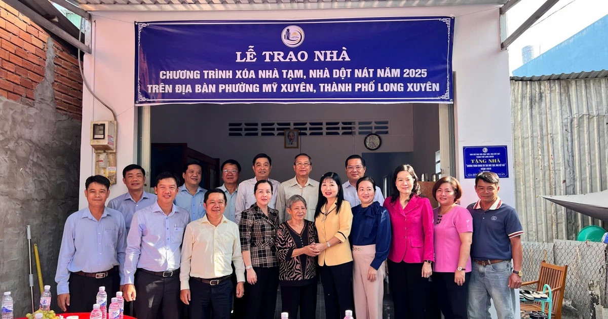 An Giang aims to do away with substandard houses