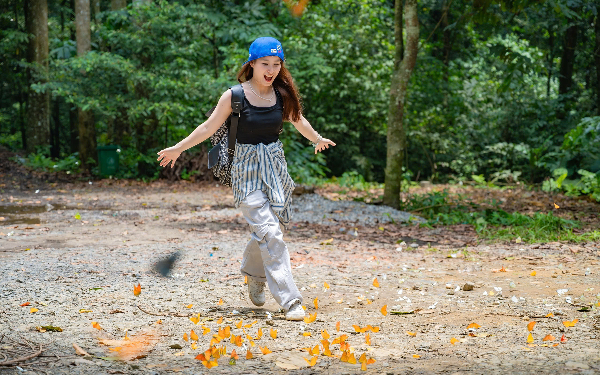 Butterflies fill the skies in Cuc Phuong’s breathtaking seasonal display