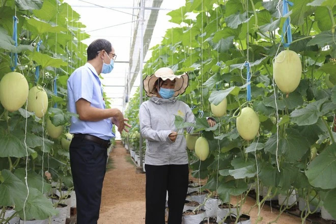 Vietnam, Austria boost cooperation in smart agriculture