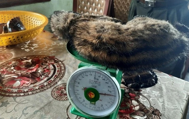 Vietnam removes 10 wildlife trafficking groups from social media