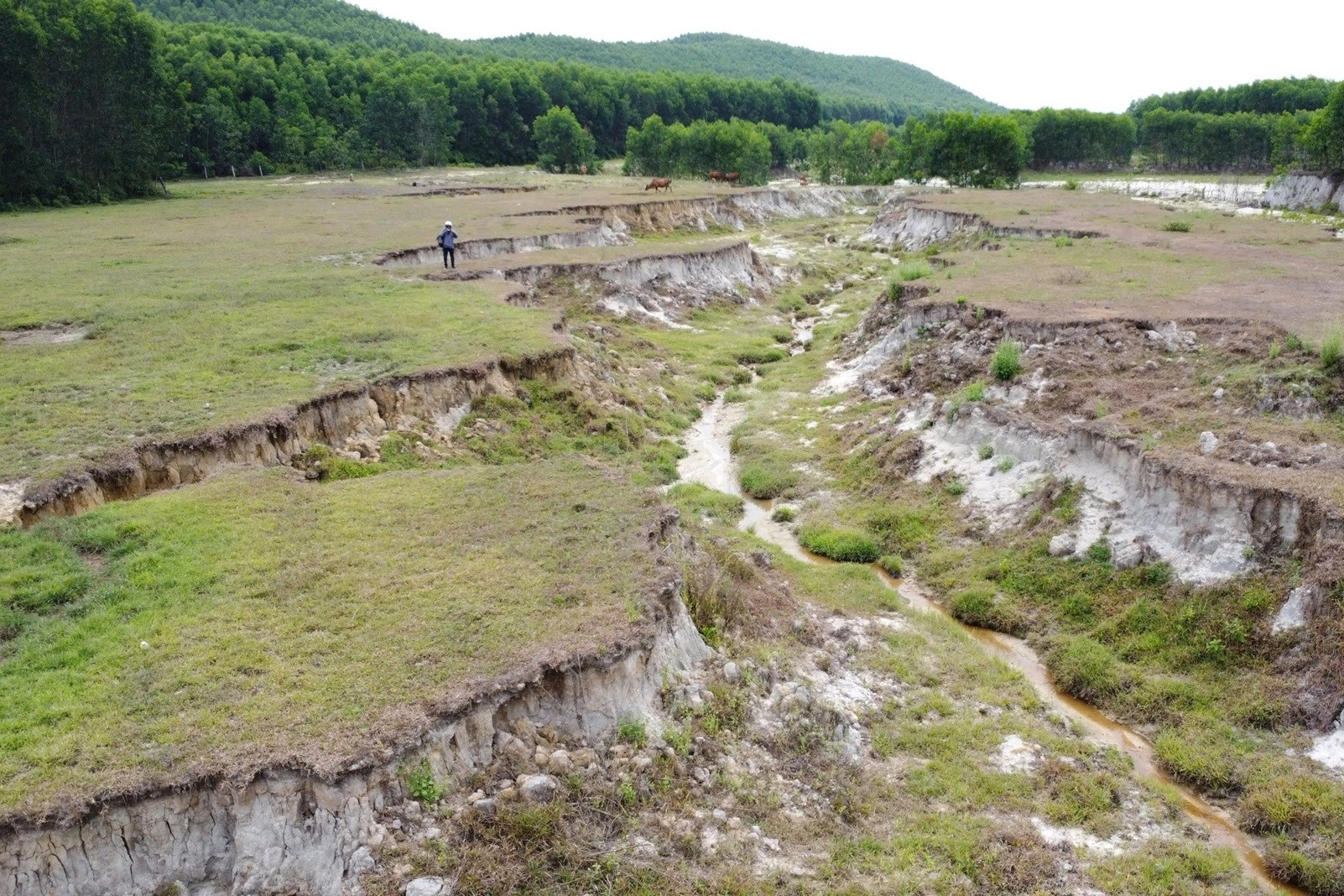 Mining company files for bankruptcy, leaves fields in disarray