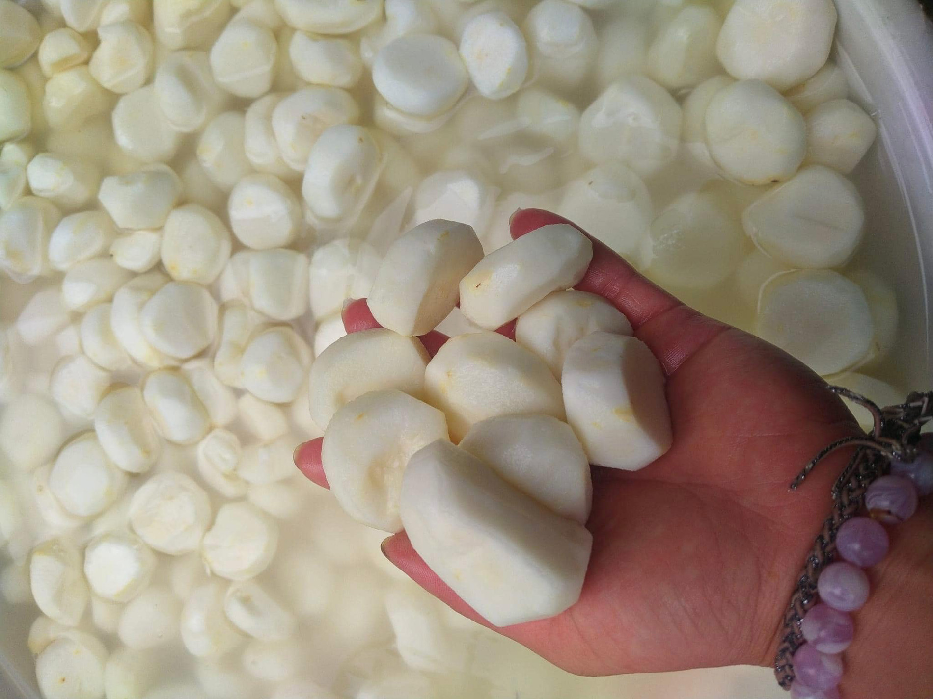 củ năng thạch lan 2.jpg