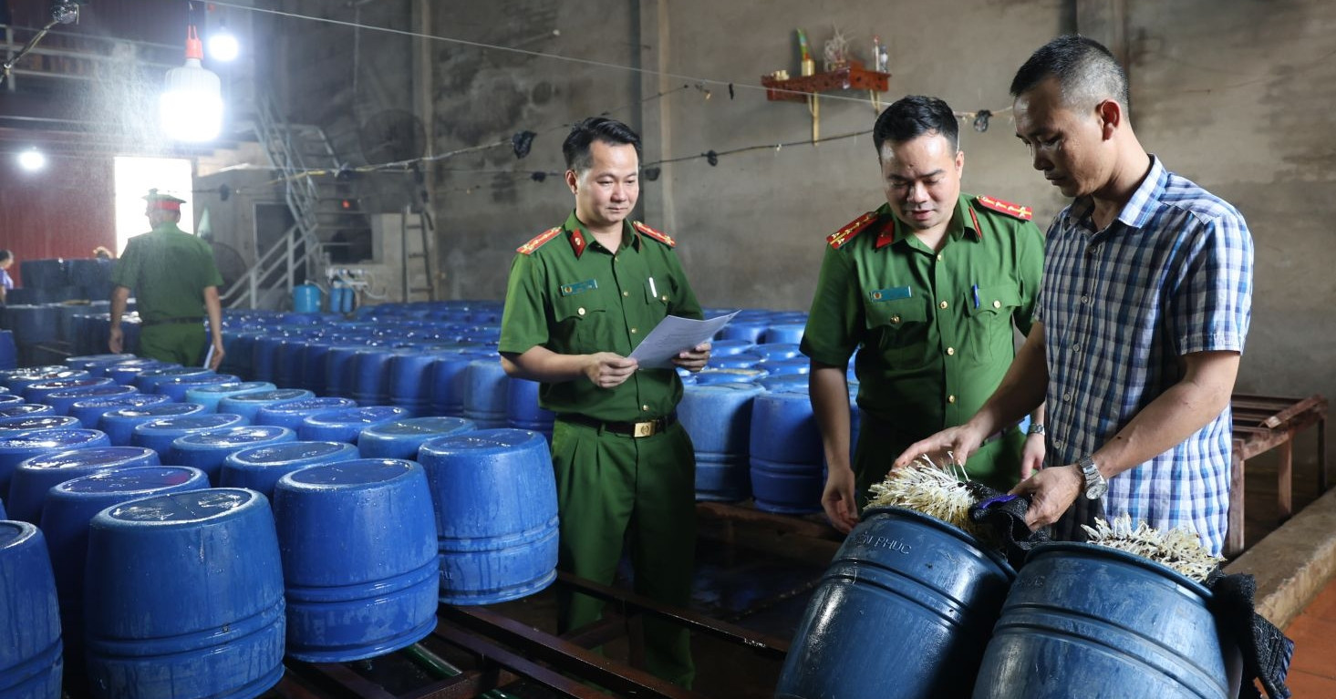 60 tons of bean sprouts tainted with banned chemicals discovered in Bac Giang