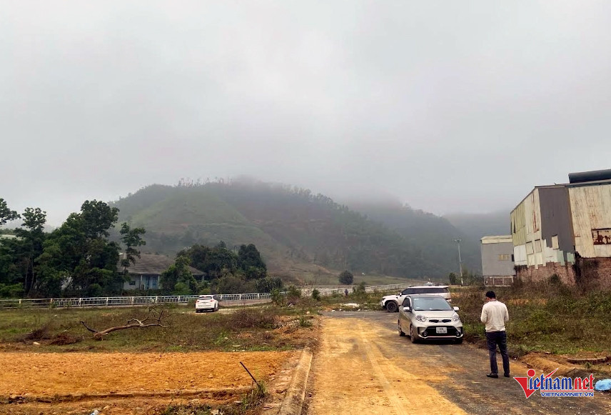 dat hoa lac NgocCuong.jpg