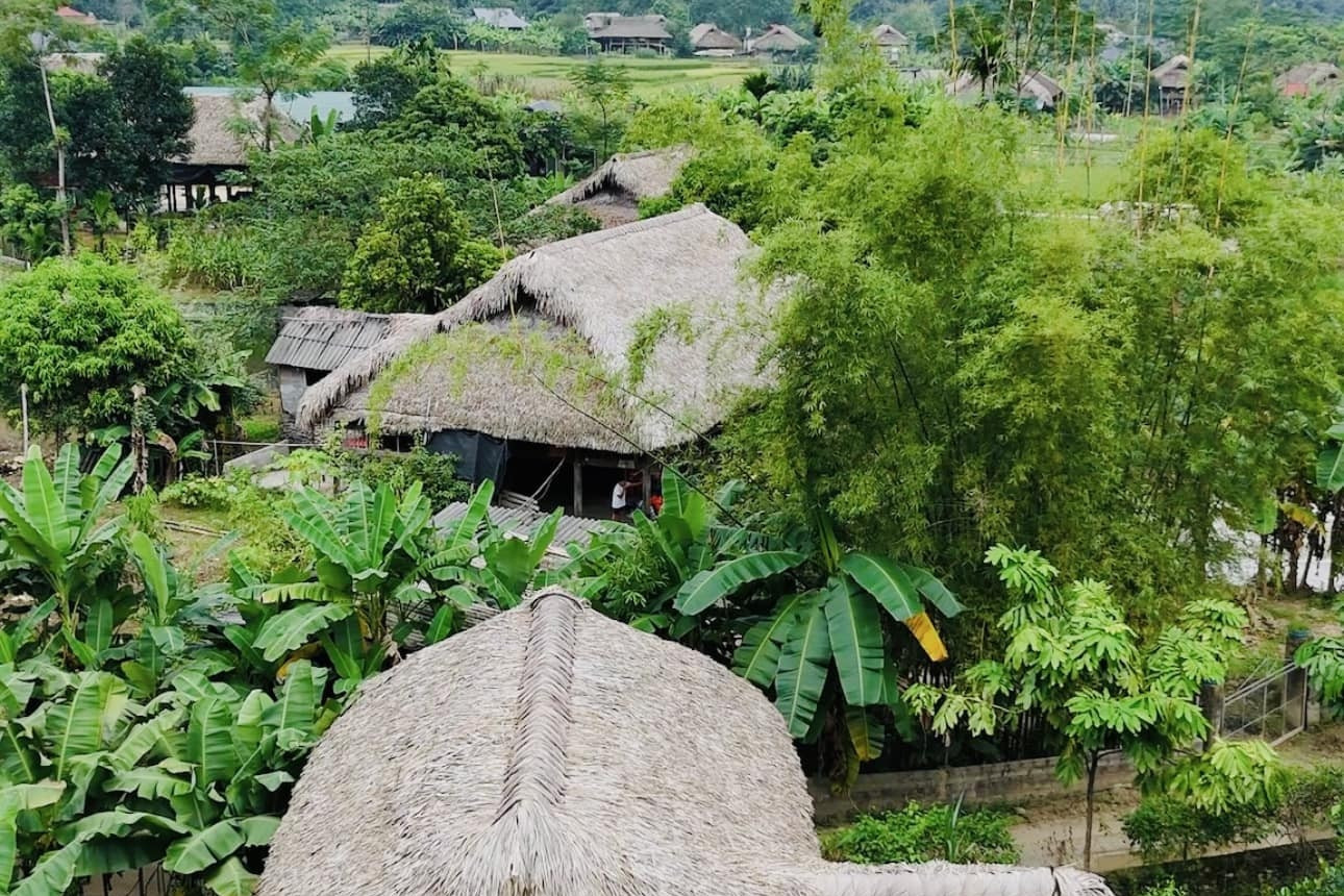 Tay woman brings western tourists to northwesten village to farm and till soil