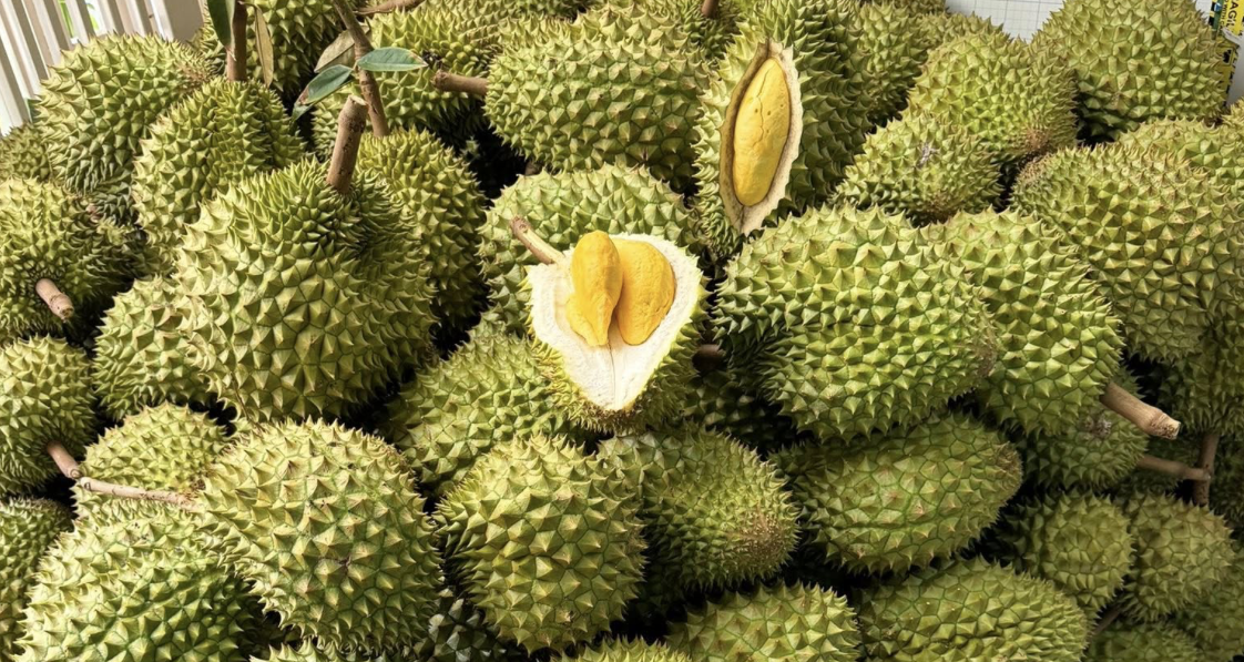 China approves over 800 new codes for Vietnam’s durian exports