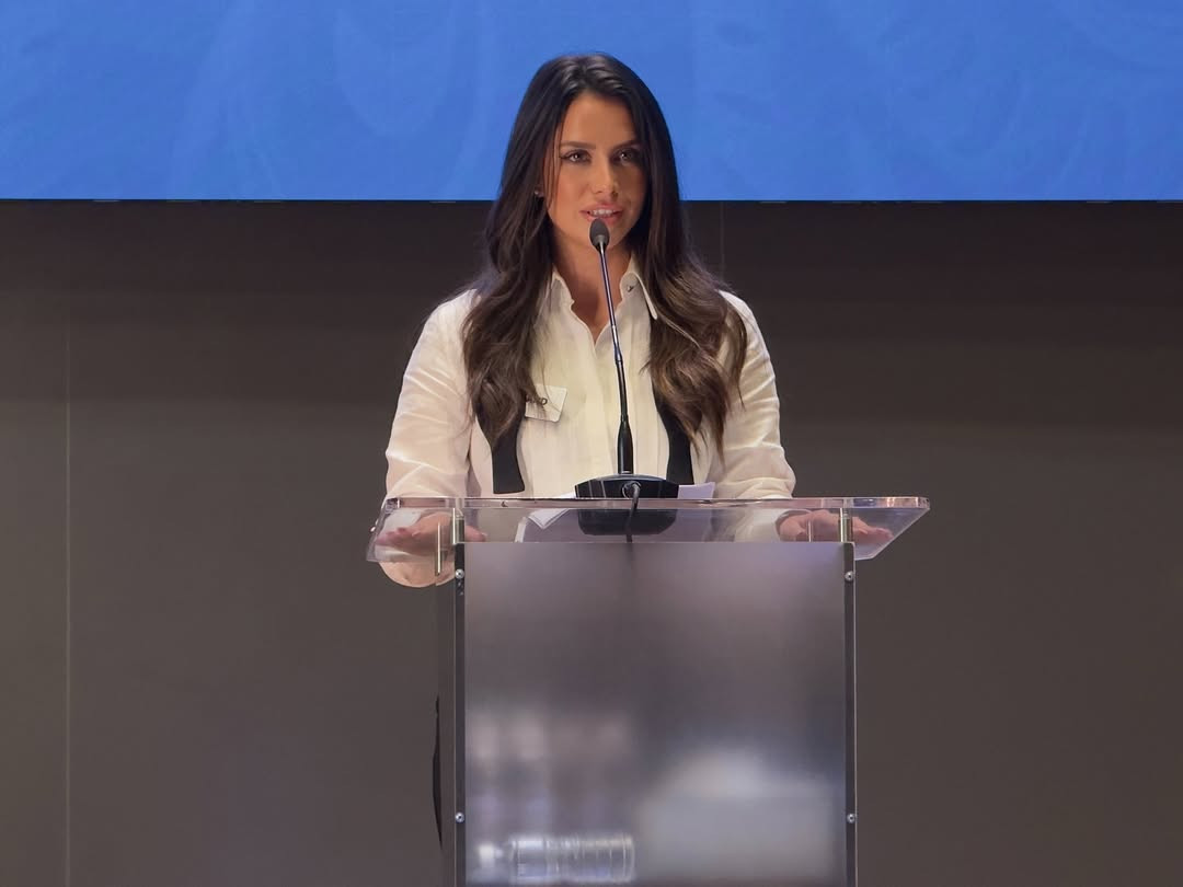 snapins ai_3637239017306240453.jpg