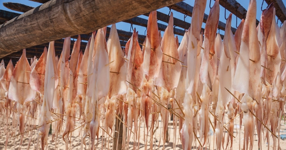 Phan Thiet’s sun-dried squid ranked among world’s best squid dishes