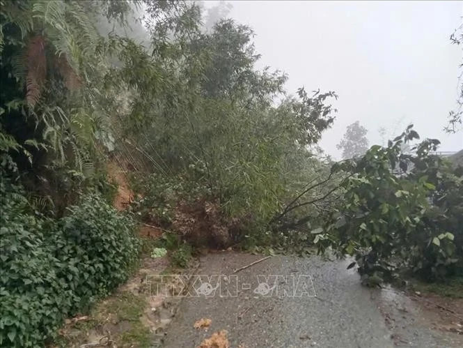 Preparations urged as northern VN faces threat of landslides, flash floods