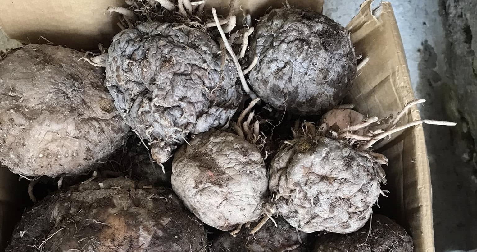 Underground delicacy from north to south packs flavor and fills you up