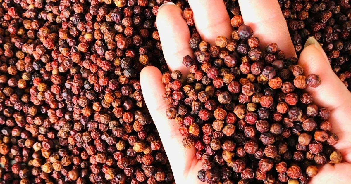 Vietnamese pepper sector advised to strengthen position on global export map