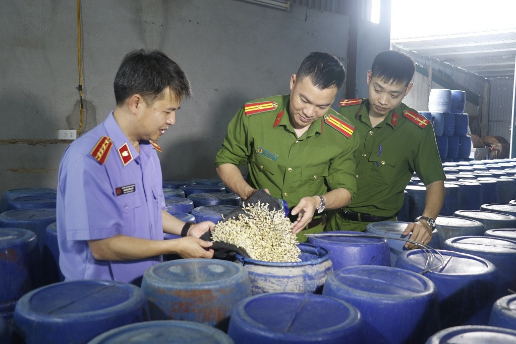 Expert urges crackdown on fake, contaminated food items