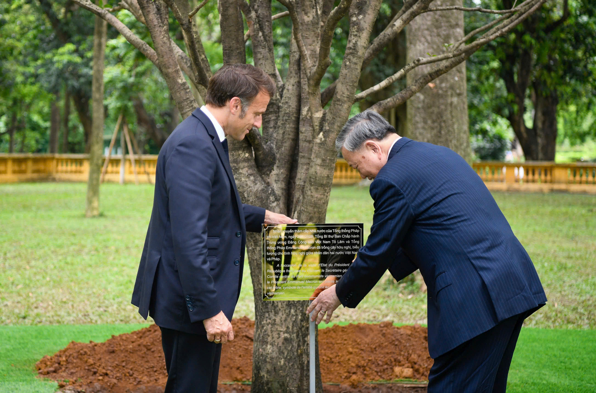french president6.jpg