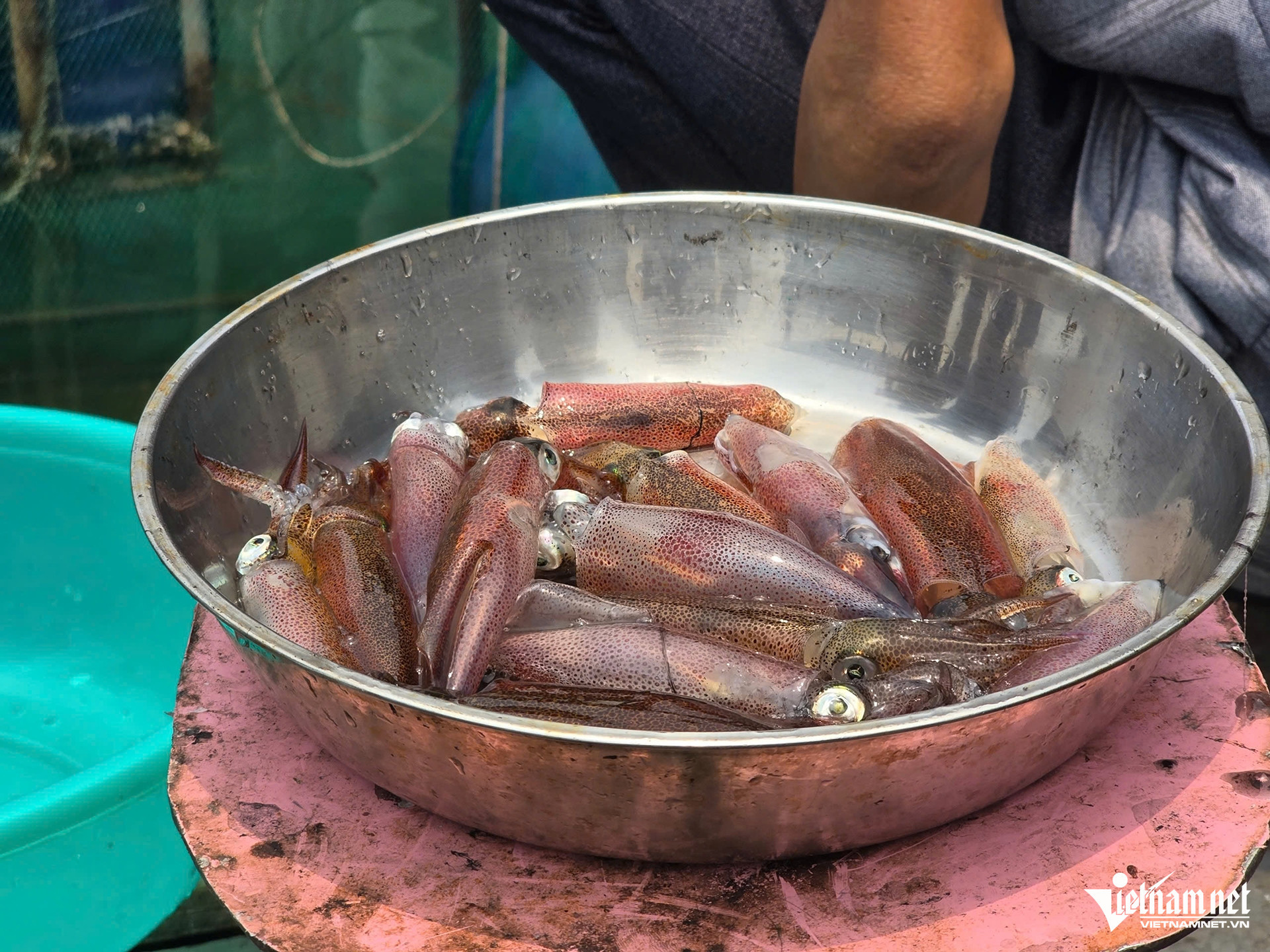 vietnamese squid.jpg