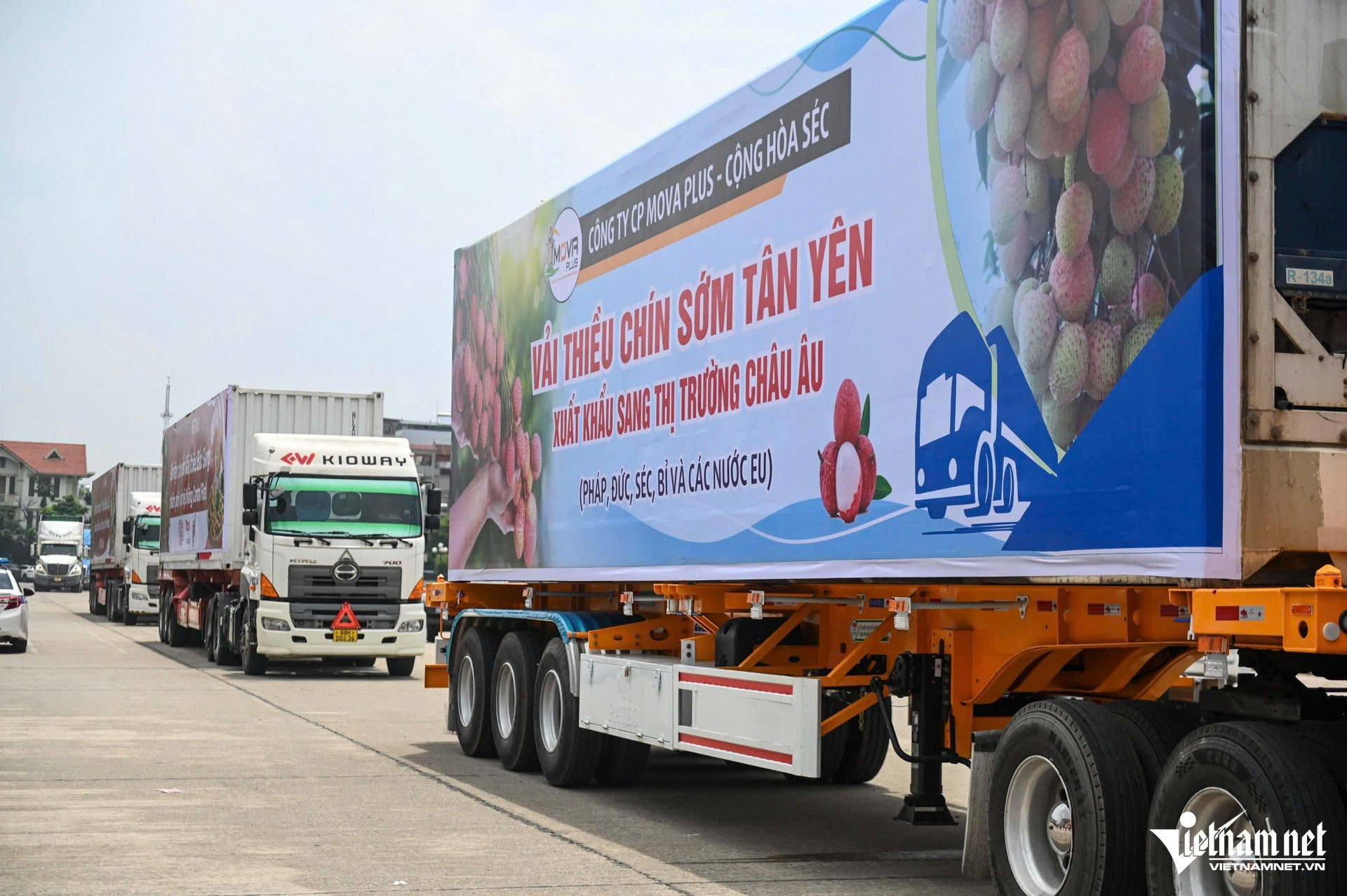 W-vải thiều bắc giang_11.JPG.jpg