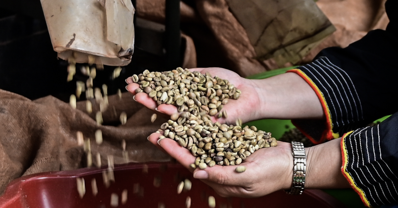 Vietnam's coffee exports hit USD 4.2 billion as global demand surges