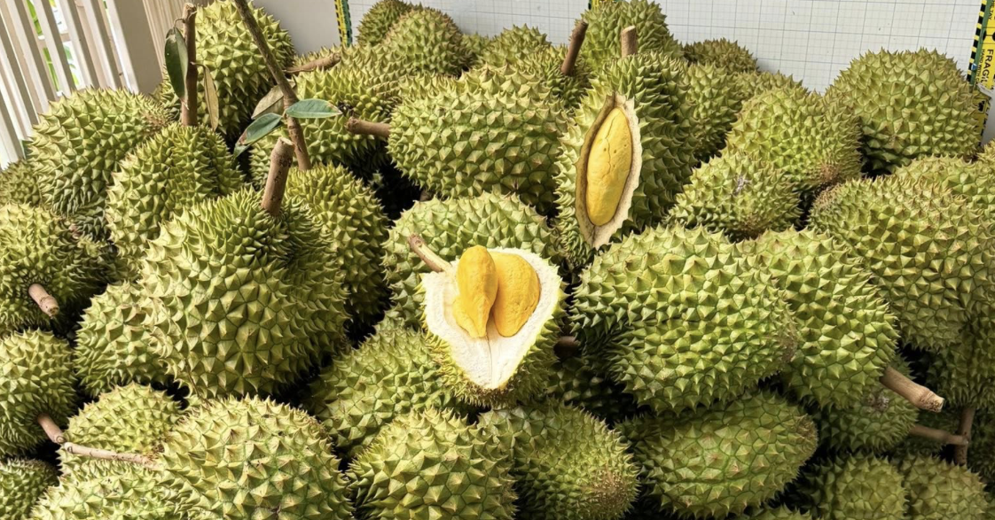 Vinacam urges PM action as cadmium threatens Vietnam durian exports