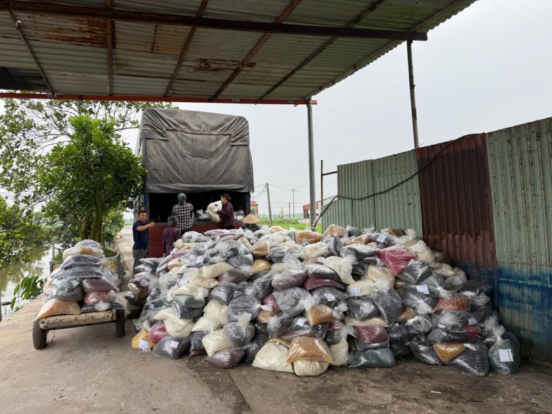 thuc pham chuc nang gia 53385.jpeg